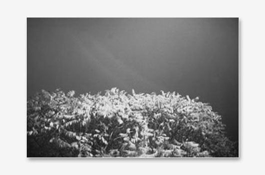 Frankreich_07