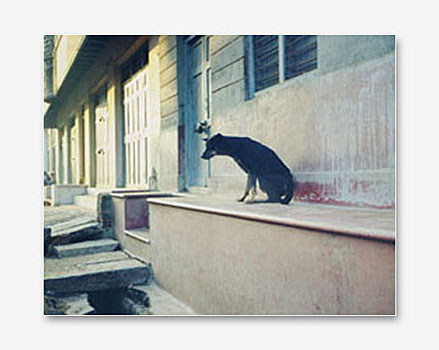 Indien_walks12