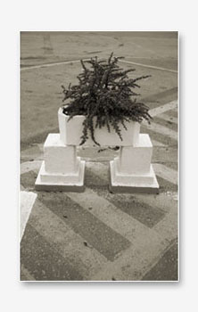 to_be_out_of_place_09