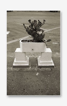 to_be_out_of_place_10