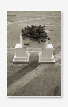 to_be_out_of_place_12